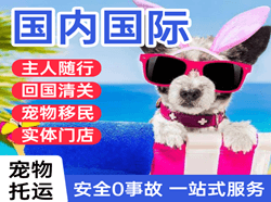 白莲机场快运国际宠物托运 【国
